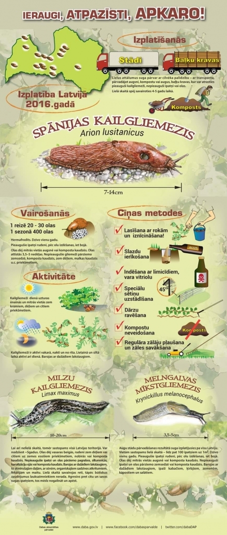 info par kailgliemežiem