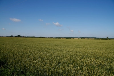 viesturu pagasts