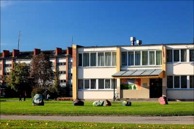 VECUMNIEKU MŪZIKAS UN MĀKSLAS SKOLA