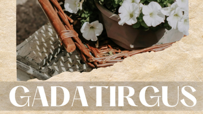 Gadatirgus