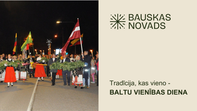 Baltu vienības diena