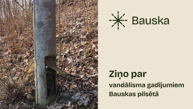 bilde