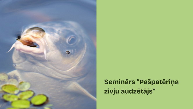 Pašpatēriņa zivju audzēšana Bauska