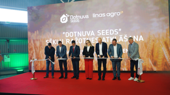 Dotnuva seeds
