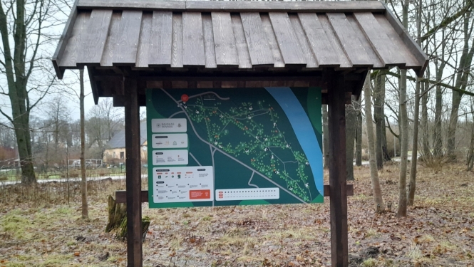 Disku golfa laukums