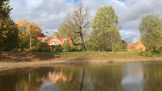 Billītes
