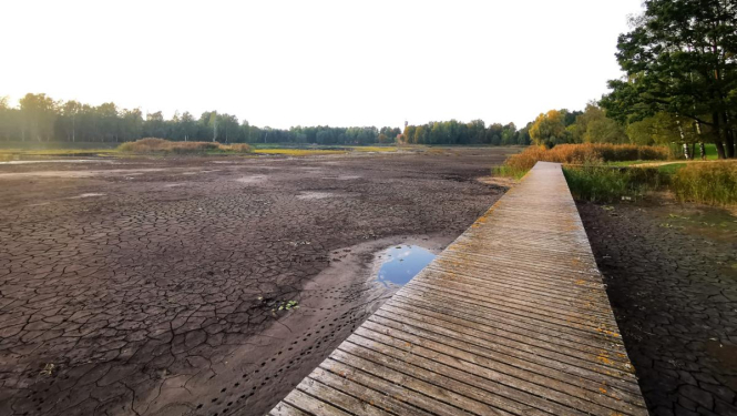Iepirkums «Vecumnieku Jaunā un Vecā ezera savienojošā ūdensvada caurules remontdarbiem» ir pārtraukts un izsludināts jauns