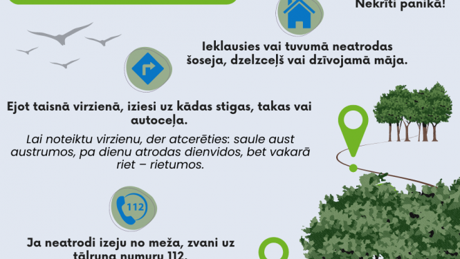 Ja esi apmaldījies mežā