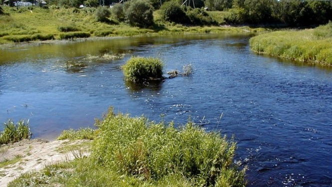 gar Lielupi