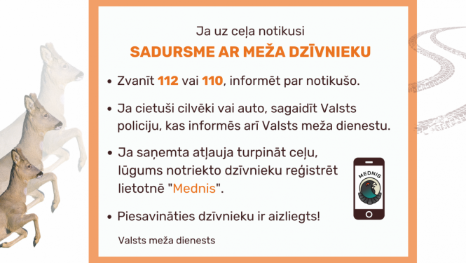 Sadursme ar meža dzīvnieku