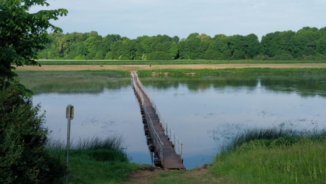 tiltiņš