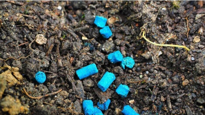 Spānijas kailgliemežu izplatības vietās tiks izkaisītas ēsmas granulas kailgliemežu un mīkstgliemežu ierobežošanai