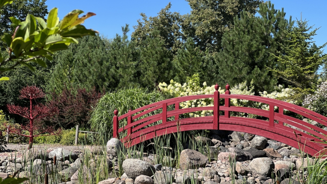 Japānas dārzs Viesturu pag