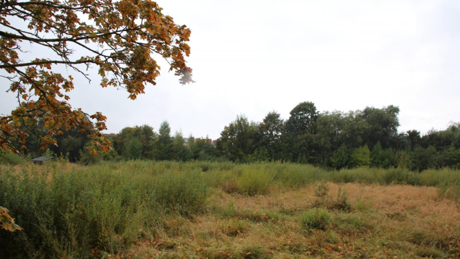 Pieņem dāvinājumā nekustamo īpašumu parka ierīkošanai Bauskā