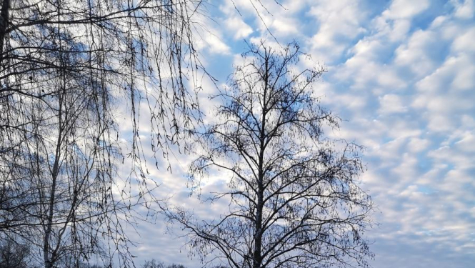 Vietas, kur slēpot Bauskas novadā