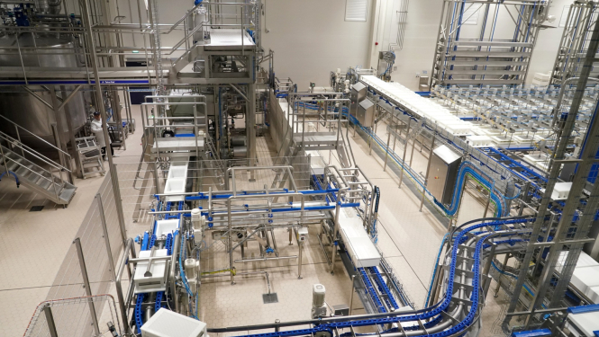 Vilvi group siera razotne