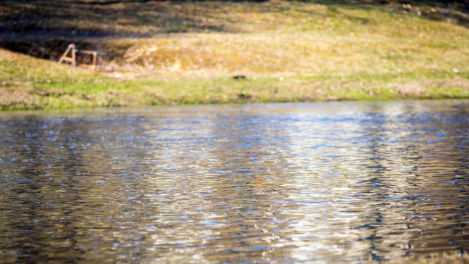 Veiks Lielupes gultnes tīrīšanu Mežotnes pagastā