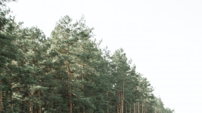 Autovadītāju ievērībai: sestdien Ķekavas apkārtnē velosacensības un satiksmes ierobežojumi