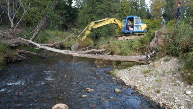 Izsludina ideju konkursu mazo grantu programmai