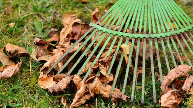 Pašvaldība atgādina – lapu dedzināšana nav atļauta!