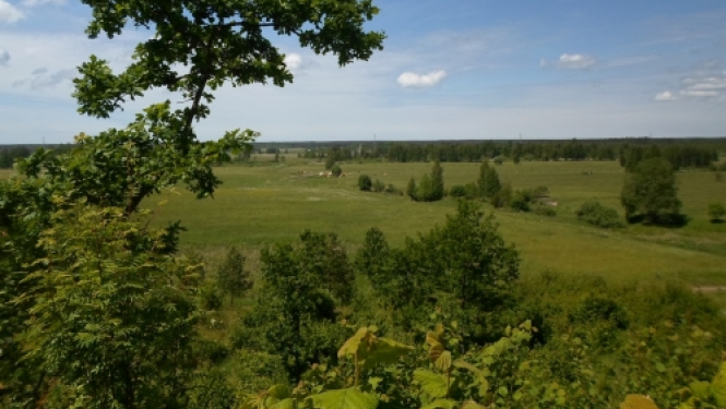 LUCAS 2022 apsekojums: Zemes lietojuma un zemes seguma statistiskais apsekojums