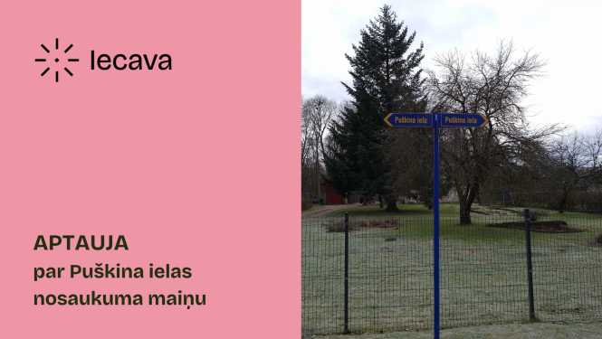 Aptauja par Puškina ielas nosaukuma maiņu