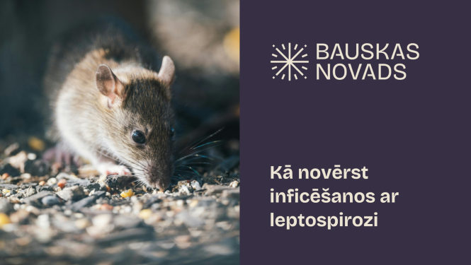 Saslimstība ar leptospirozi