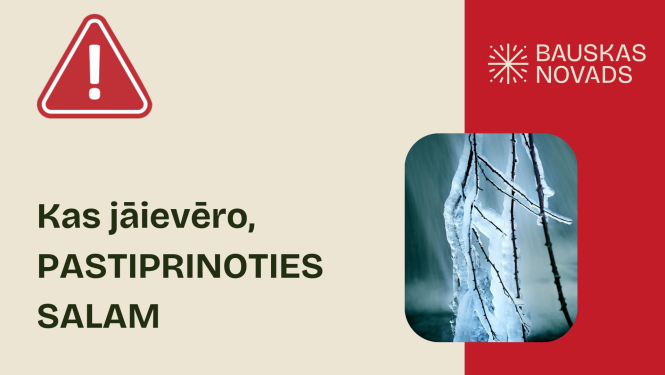 Kā rīkoties stiprā salā