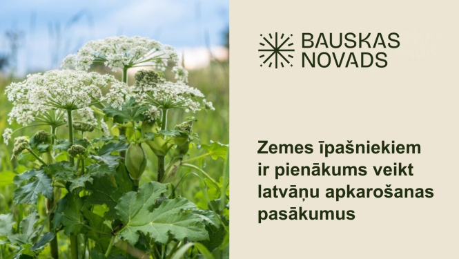 Aprīlī jāuzsāk latvāņu apkarošana