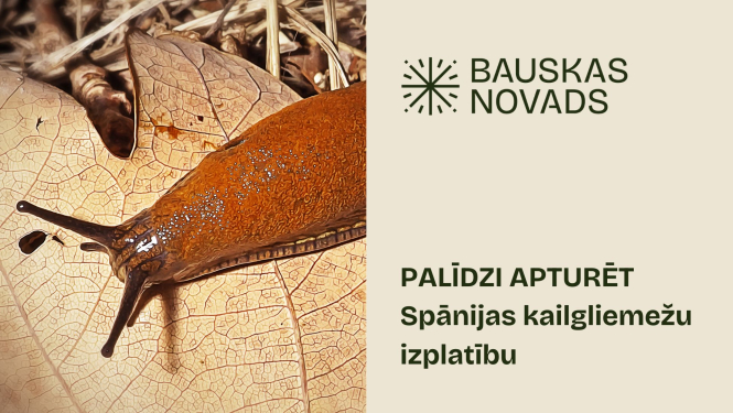 Spānijas kailgliemezis