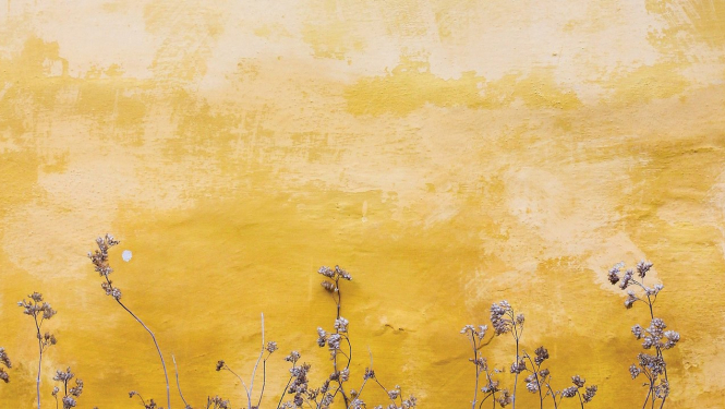 Balso par ainavu balvu