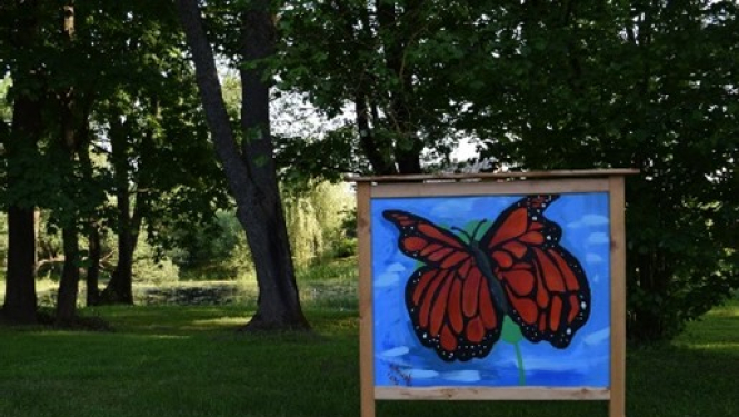 dabas mākslas galerija