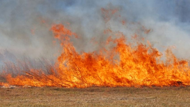 Pašvaldības policija atgādina - dedzināt pērno zāli, jeb kūlu ir aizliegts