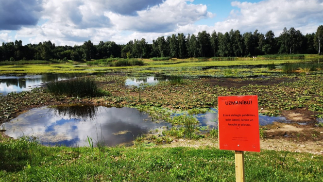 Noslēgsies iepirkums Jaunā ezera glābšanas darbiem Vecumniekos