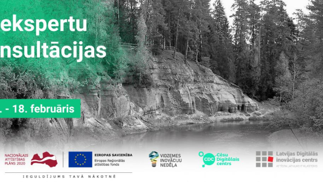 IT eksperti aicina uz biznesa konsultācijām