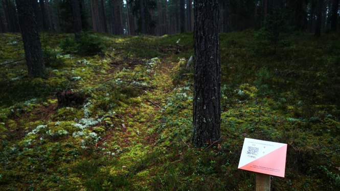 Izveidots Zvirgzdes orientēšanās poligons