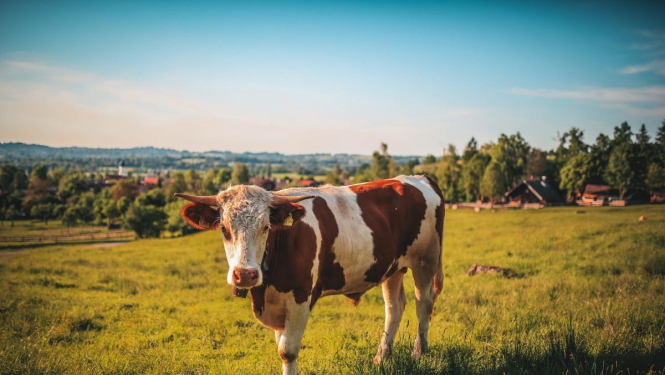 Uzņēmējus aicina piedalīties aptaujā par aktuāliem tematiem, apmācībām un semināriem