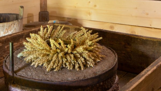 2022. gada 28. un 29. jūlijā Viļa Plūdoņa muzejā norisināsies rudzu maizes cepšanas meistarklase.