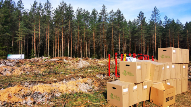 Meža dienas Zvirgzdes mežā