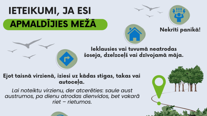 Ja esi apmaldījies mežā