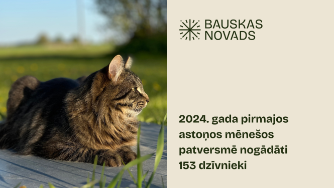 Patversmē nogādāti mājdzīvnieki