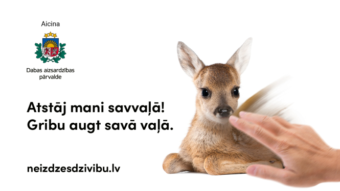 Atstāja dzīvnieku savvaļā