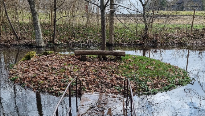 no Pāces muižas parka