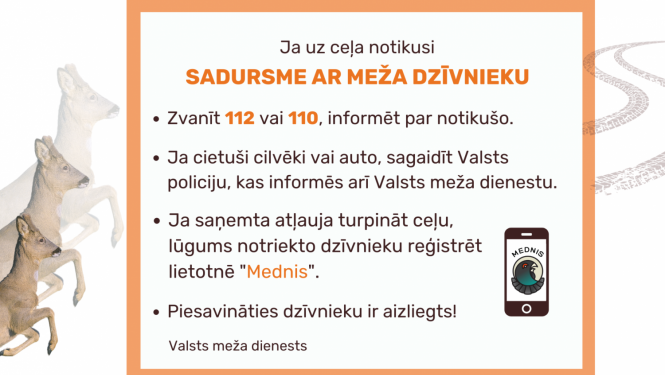 Sadursme ar meža dzīvnieku