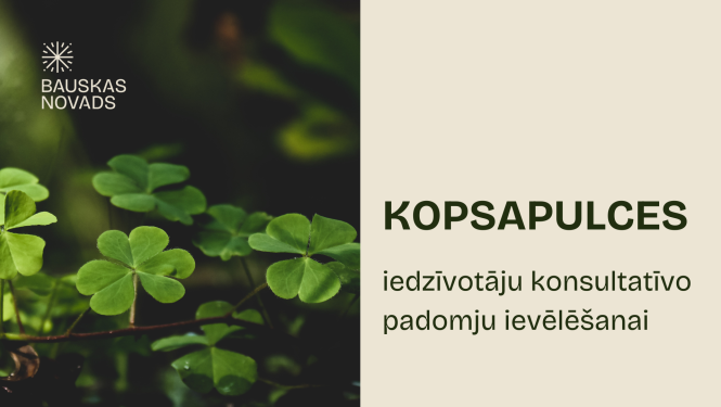 Iedzīvotāju konsultatīvā padome