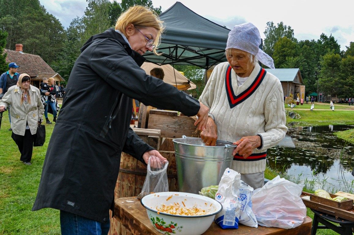 Pļaujas svētki