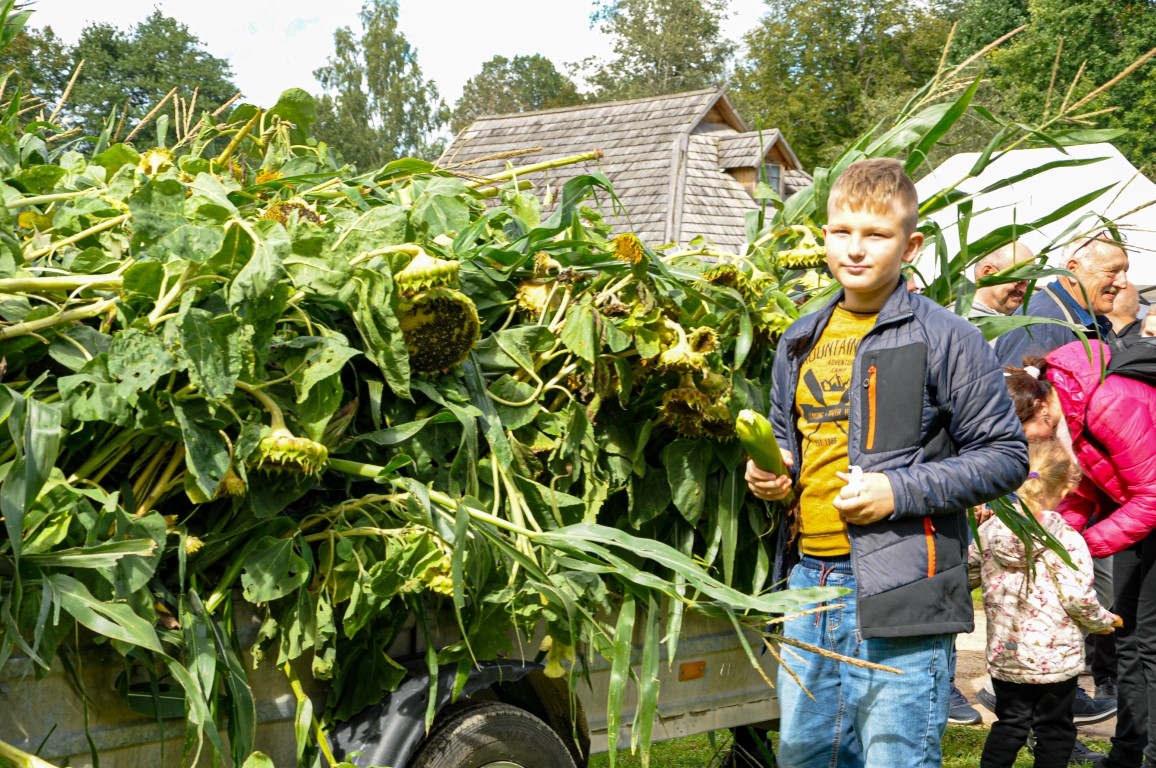 Pļaujas svētki