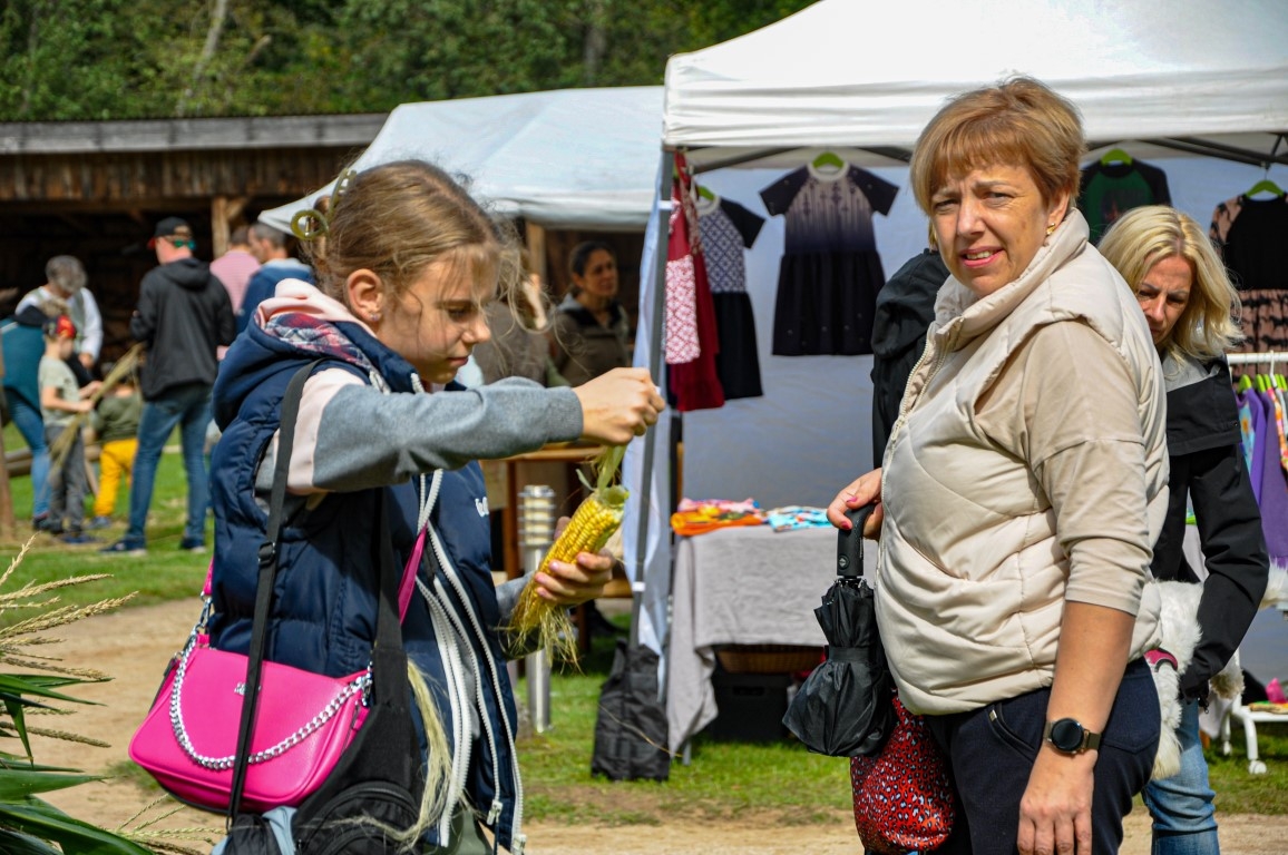 Pļaujas svētki