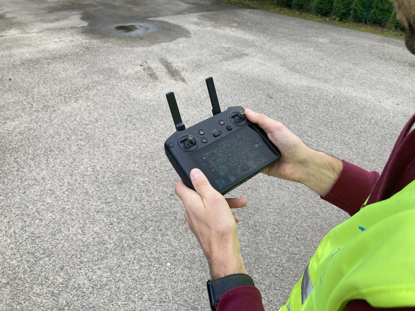 Bauskas novadā šovasar uzsāks praktiskus invazīvo sugu ierobežošanas pasākumus projekta “INVAGO” ietvaros