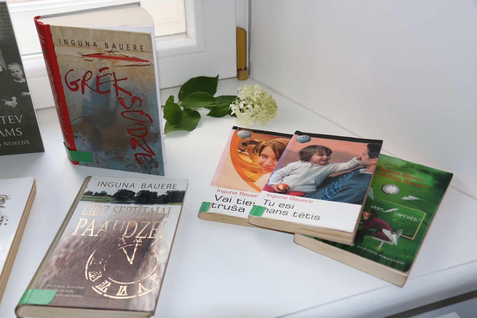 Tikšanās ar rakstnieci Ingunu Baueri (7)